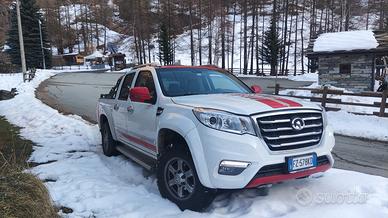 GWM Steed 6 benzina/gpl