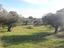 Immagine 23