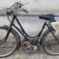 bicicletta  motorizzata