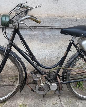 bicicletta  motorizzata