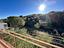 Immagine 30