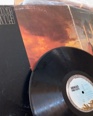 vinile Pink Floyd 