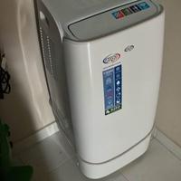 condizionatore pinguino