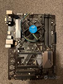 Scheda madre Asus Prime H370-PLUS + Intel I5-9400