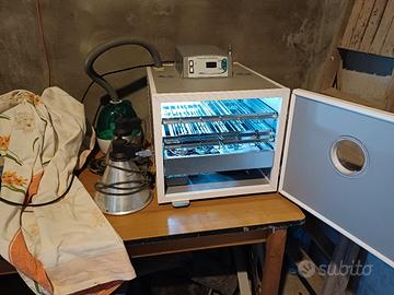 incubatrice 