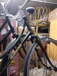 bicicletta donna