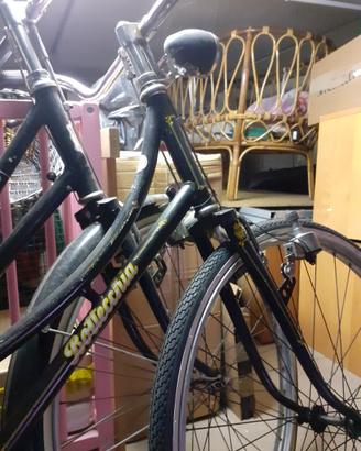 bicicletta donna