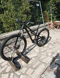 bici specialized