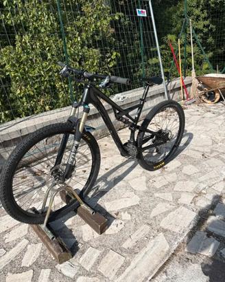 bici specialized