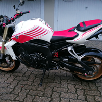 Yamaha FZ1 anno 2009