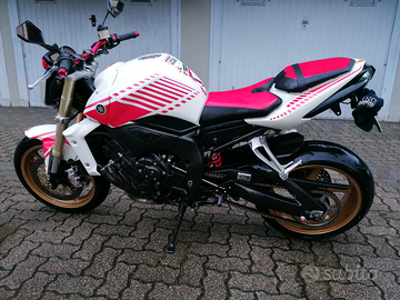 Yamaha FZ1 anno 2009