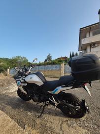 benelli trk 502