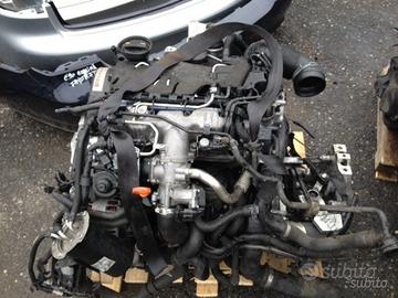 Motore golf - 2.0 d - cbd