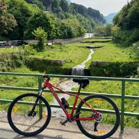 Mountain Bike 29 come nuova – 300€