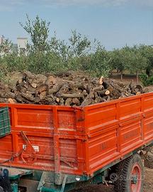 Legna Da Ardere Di Ulivo per Camino, Forno e Stufa