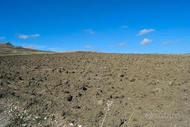 RGE 43/2024 Trib ENNA - LOTTO 2