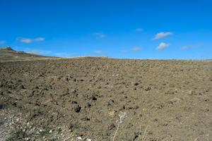 RGE 43/2024 Trib ENNA - LOTTO 2