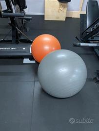 Fitball Lacertosus + supporto a muro