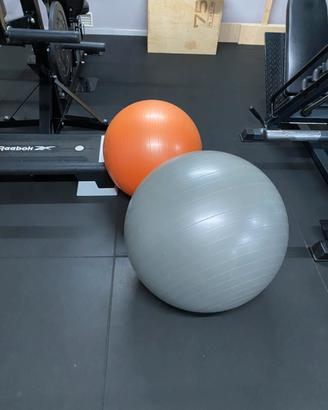 Fitball Lacertosus + supporto a muro