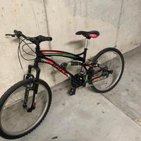 Bicicletta per ragazzi