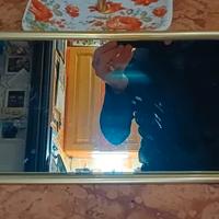 SPECCHIO INSEGNA FERROVIE DELLO STATO ANNI 80