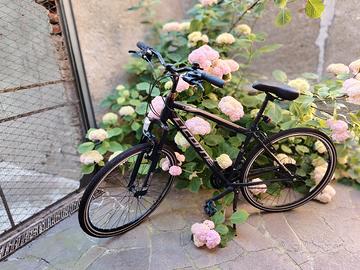 Bicicletta Uomo Licorne