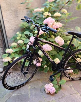 Bicicletta Uomo Licorne