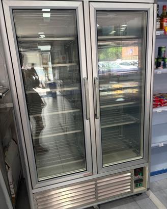Congelatore frigorifero professionale