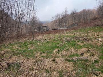 Terreno con Rustico 