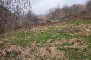 Terreno con Rustico 
