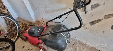 Tagliaerba elettrico 
