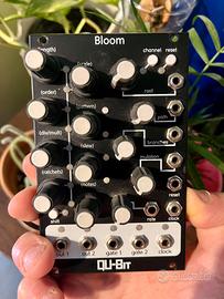 Qubit bloom