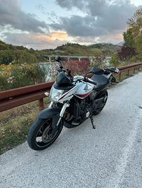 Honda Hornet 600 bianca 2010