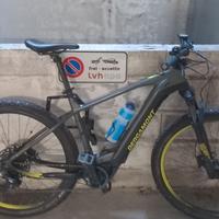 E-Bike Bergamont E-Revox Expert