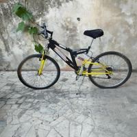 mountain bike 