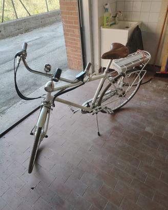 bicicletta elettrica. Batteria da ricellare.