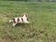 Immagine 3