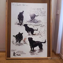 Pannello Quadro
