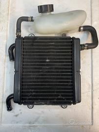 radiatore aerox 50