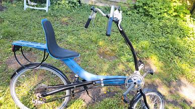 Recumbent Alligt