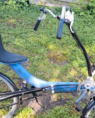 Recumbent Alligt