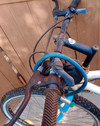 Mountain bike