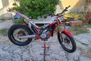 trial gas gas 300 racing 