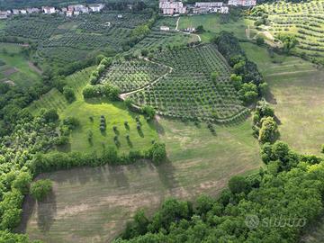 Terreno agricolo con Uliveto e Seminativo