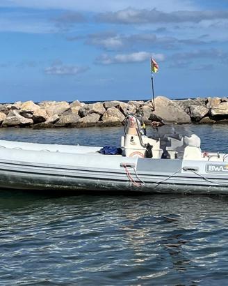 Gommone BWA 740 cat B