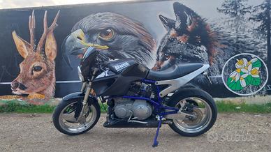 Buell x1 lighting blu PM 2002