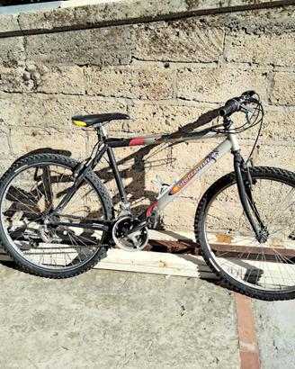 Bicicletta uomo MTB