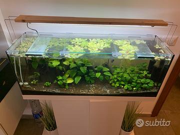 Acquario 100 L