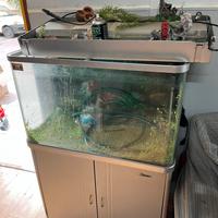 Scrivanie e sedie per cessata attivita