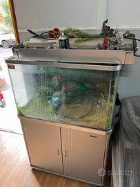 Scrivanie e sedie per cessata attivita